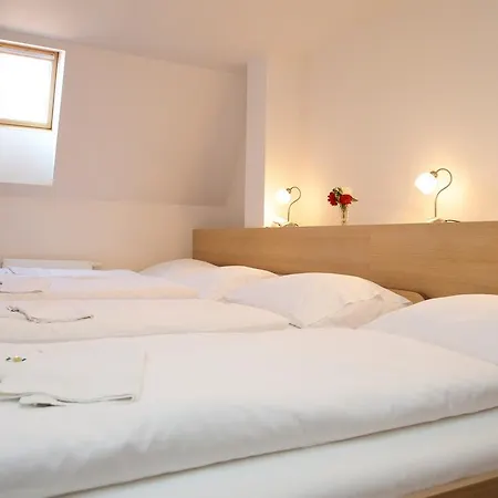 Zamek Berchtold Ξενοδοχείο 3*